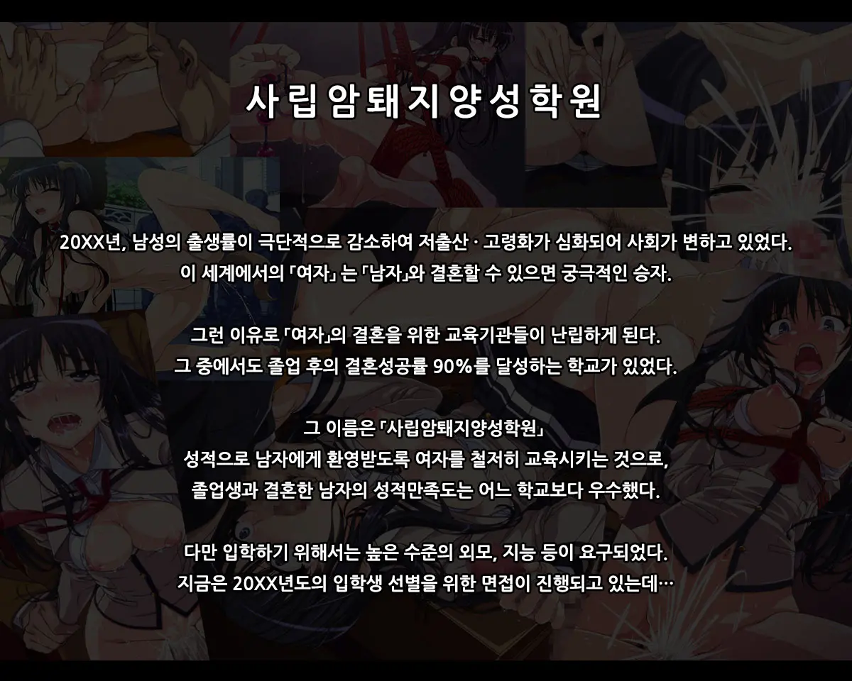 Shiritsu Mesubuta Yousei Gakuen